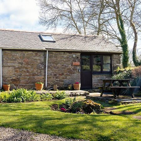 Cosy Cottage In The Beautiful Lamorna Valley - Walk To The Pub & Sea Paul Extérieur photo